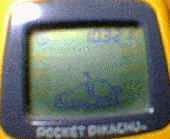 990531