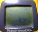 990604